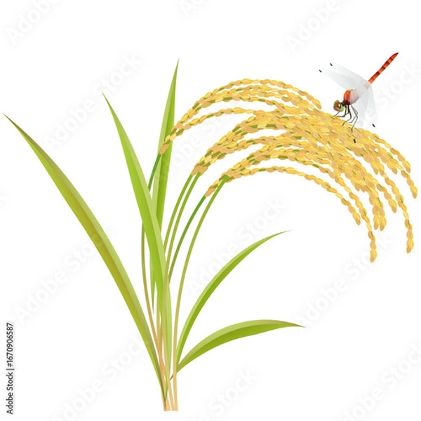 Obraz 稲と赤とんぼ