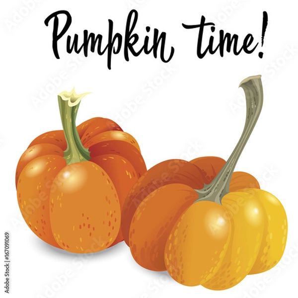 Obraz Two orange pumpkin isolated on white background. Vector Illustration