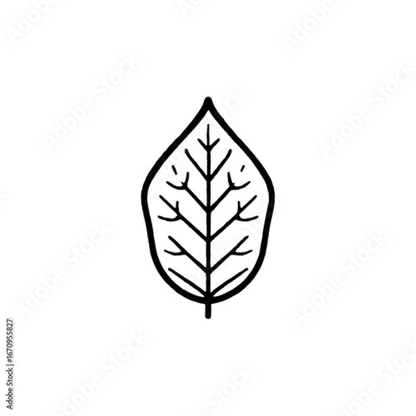 Obraz Silhouette of a Leaf in Nature