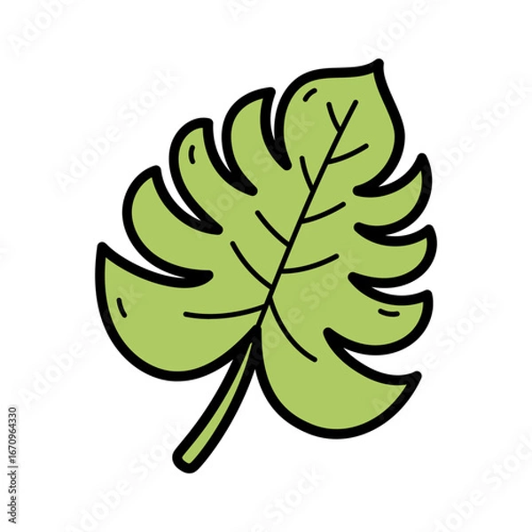 Fototapeta Hand-drawn Green Tropical Leaf Illustration Vector Art