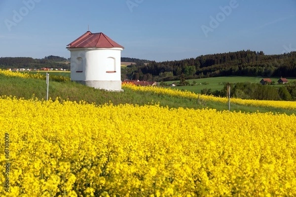 Fototapeta chapel and field of rapeseed, springtime landscape