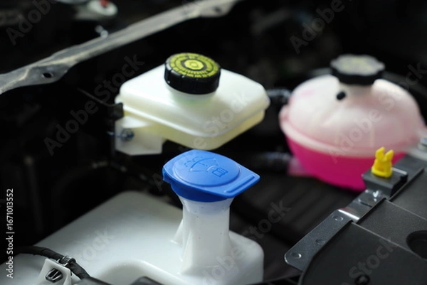 Obraz windshield washer fluid reservoir cap in engine room.	