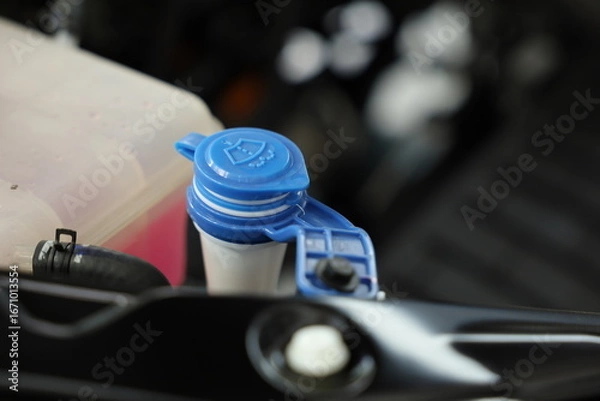 Obraz windshield washer fluid reservoir cap in engine room.	