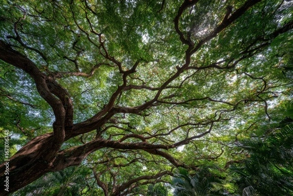 Fototapeta Majestic Tree with Sprawling Branches and Lush Green Foliage in a Natural Setting