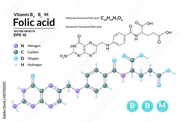 Fototapeta Structural chemical molecular formula and model of Folic acid. Atoms are represented as spheres with color coding isolated on background. 2d, 3d visualization and skeletal formula. Vector illustration