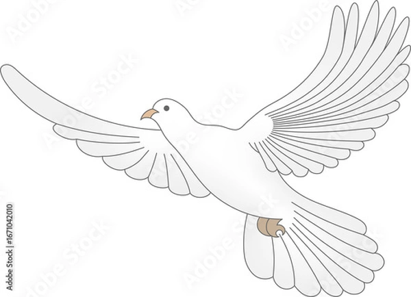 Obraz White dove transparent PNG. Peace dove vector illustration. Peace bird symbol. White dove drawing. Peace dove clipart. Bird vector transparent PNG.