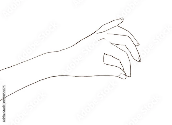 Obraz つまんで持ち上げる動作の手　イラスト