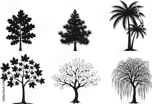 Fototapeta Silhouette vector collection of different tree types including oak, pine, palm, maple, cherry, and willow for nature design projects.