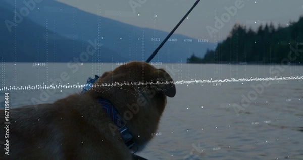 Obraz Standing harnessed golden-furred dog gazing over mountain lake dock, fishing rod and data overlay