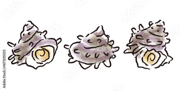 Obraz 新鮮なサザエ貝　手描き筆タッチの和風イラスト