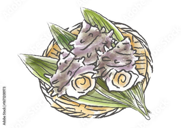 Obraz 竹ざるに並べた新鮮なサザエ貝　手描き筆タッチの和風イラスト