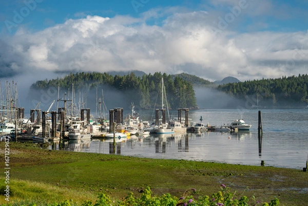 Obraz Muelle en Tofino Canada