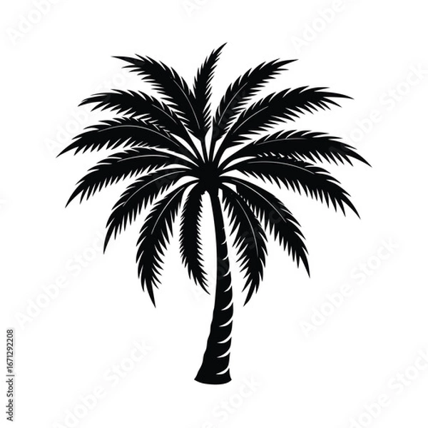Obraz Palm tree vector silhouette on white background