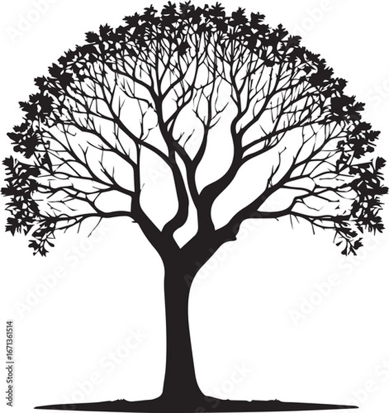 Obraz Tree silhouette Vector | Minimalist & Trendy Tree Silhouette Design | Unique & Stylish Tree Artwork for Vector design