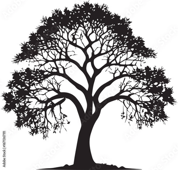 Obraz tree silhouette Vector | Minimalist & Trendy tree Silhouette Design | Unique & Stylish tree Artwork for Vector design