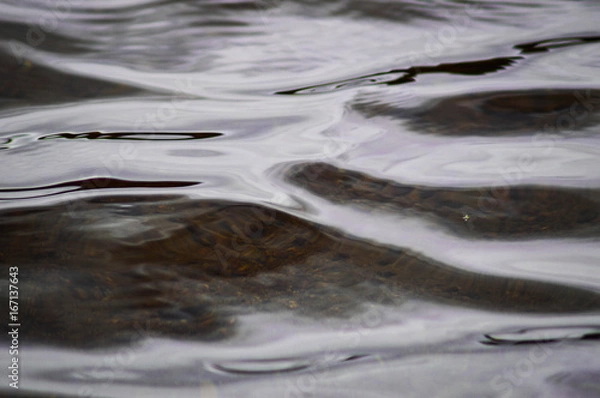 Fototapeta water surface