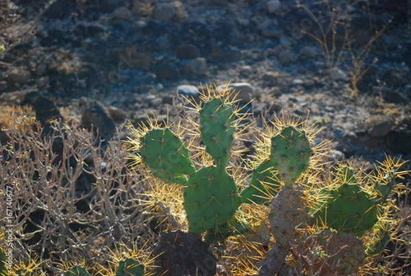 Obraz Nature and see