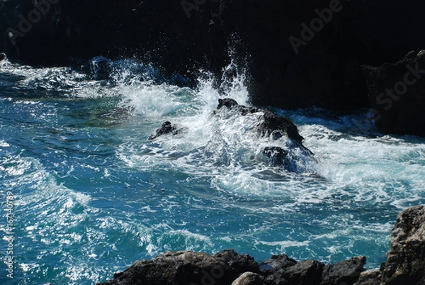 Obraz Nature and see