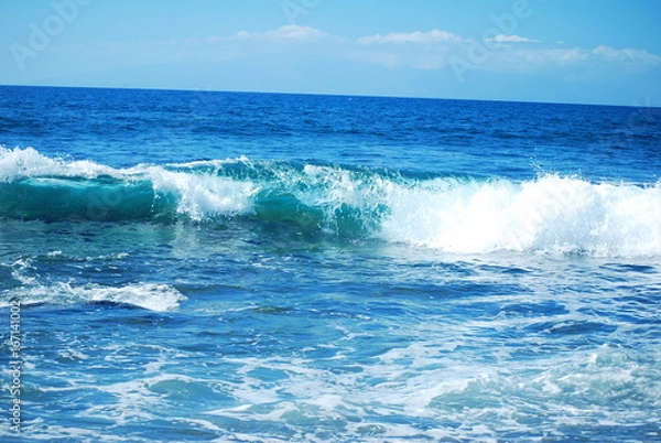 Obraz Nature and see