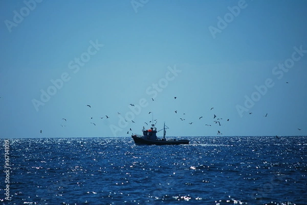 Obraz Nature and see