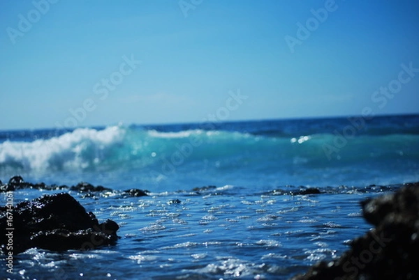 Obraz Nature and see