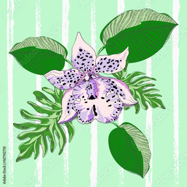 Fototapeta Orchid with exotic flowers on light green background in style pop art. Vector