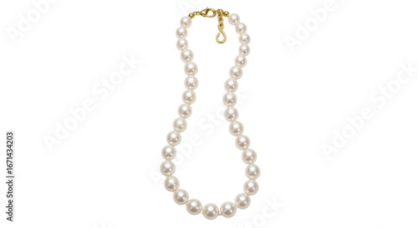 Obraz Isolated Pearl Necklace