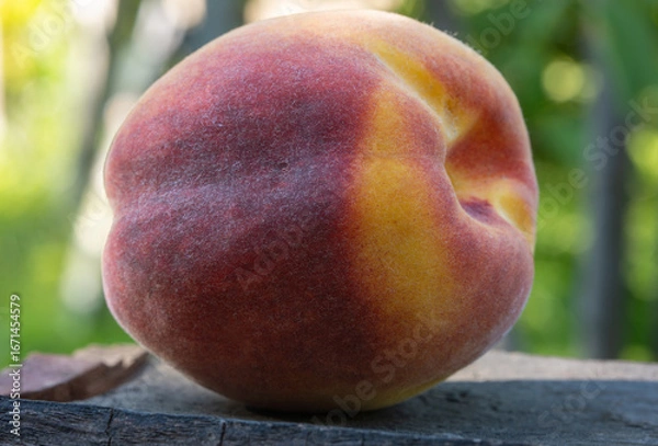 Obraz peach