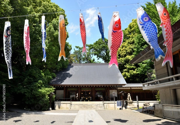 Obraz 神社の境内に飾られた鯉のぼり