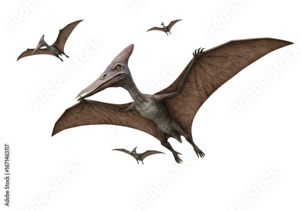 Fototapeta Isolated Flock of Flying Pterodactyls Prehistoric Reptiles Extinct Animals Dinosaurs