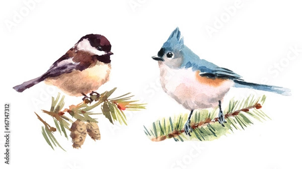 Fototapeta Titmouse and Chickadee Two Birds Watercolor Hand Painted Illustration Set isolated on white background