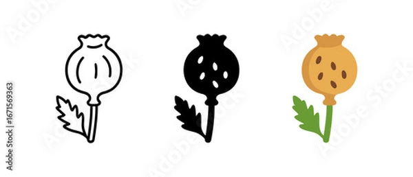 Fototapeta Poppy seed pod icons: minimalist black and white and colorful design