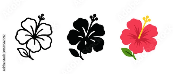 Fototapeta Elegant hibiscus flower variations in outline, solid, and vibrant color