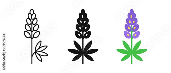 Fototapeta Minimalist and bold designs of lupine flower icons in set