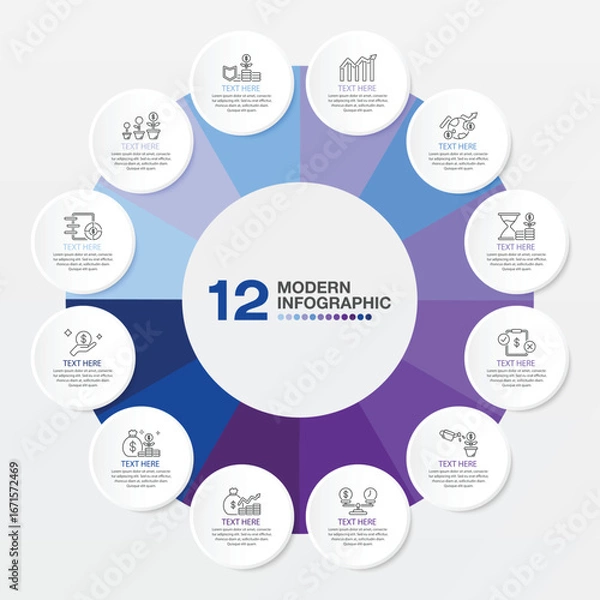 Fototapeta Basic circle infographic template with 12 steps, process or options.