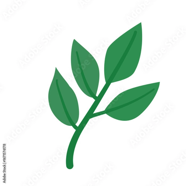 Fototapeta Minimalist green branch with leave vector