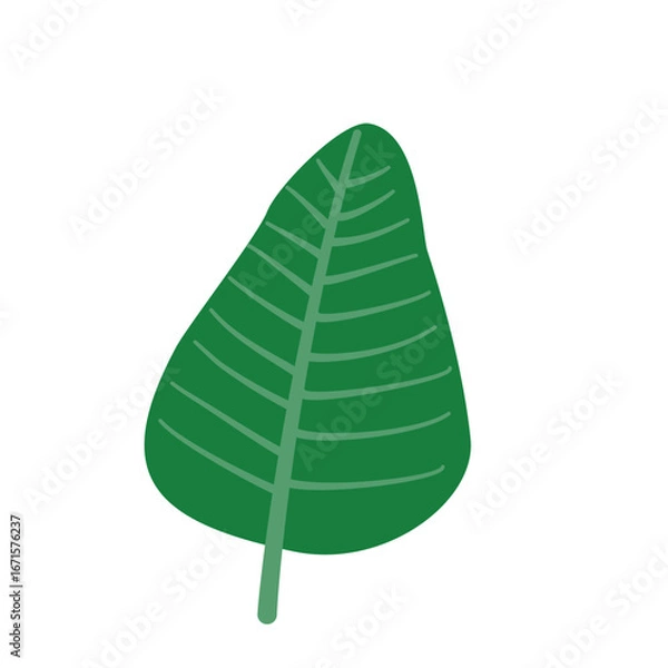 Obraz Large tropical green leaf vector illustration 