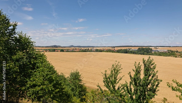 Obraz View over the farmland with sun-ripened golden-yellow grain and in the distance the town of Thale in the Harz region, close to the devil's wall or in German 'teufelsmauer'