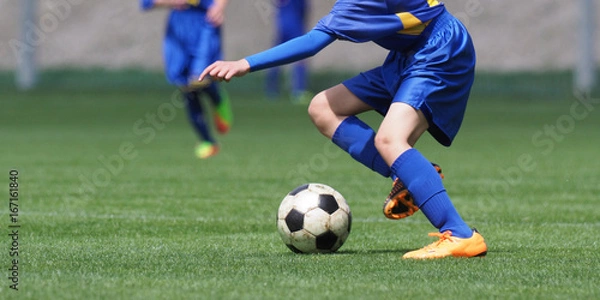Fototapeta サッカー　フットボール