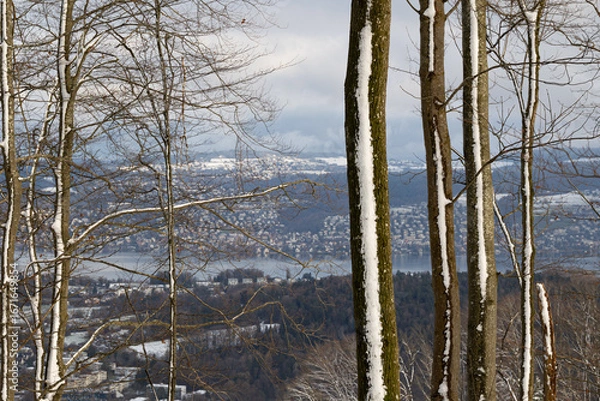 Fototapeta Winter lake view with snowy trees in the foreground