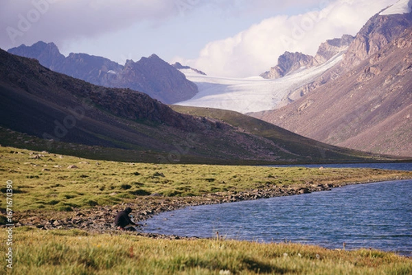 Fototapeta mountain lake with a view of a snow-capped peak - Kyrgyzstan, Tien Shan, Central Asia