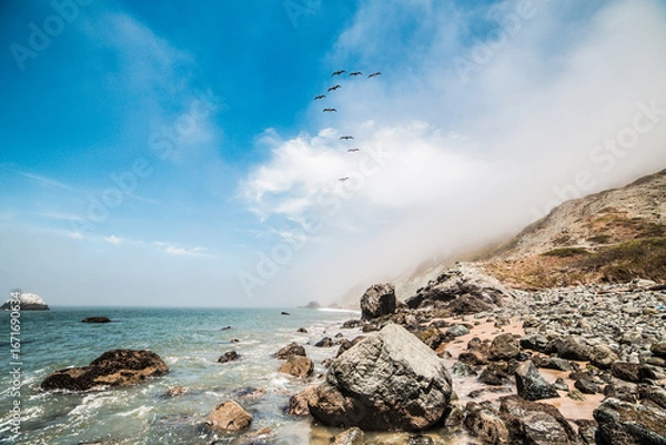 Fototapeta 9 Birds Flying Along The Ocean Shoreline 