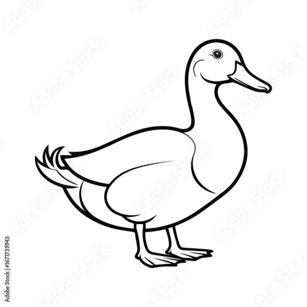 Obraz Duck coloring book page vector art illustration line art 