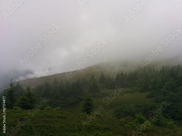 Obraz Carpathians-14