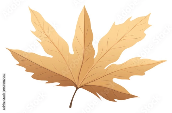 Fototapeta PNG Leaf plant tree pattern.