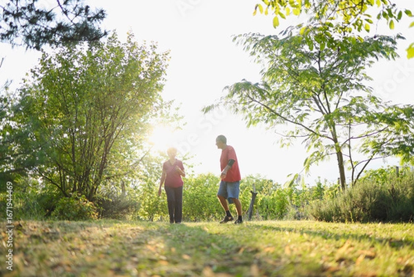 Fototapeta Elderly people picking apples from tree, man holding bucket and reaching for apples. Sunny day at the orchard.