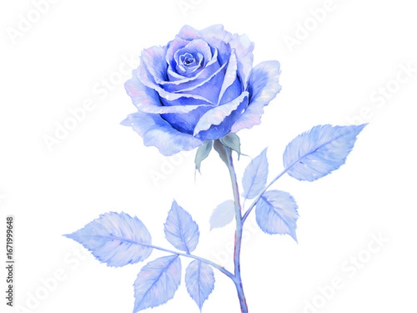 Obraz blue rose isolated on white background