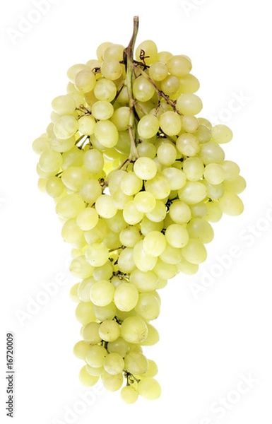 Obraz grape