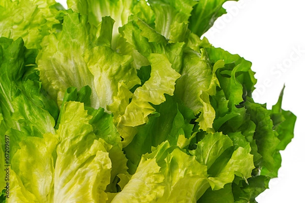 Obraz Salat