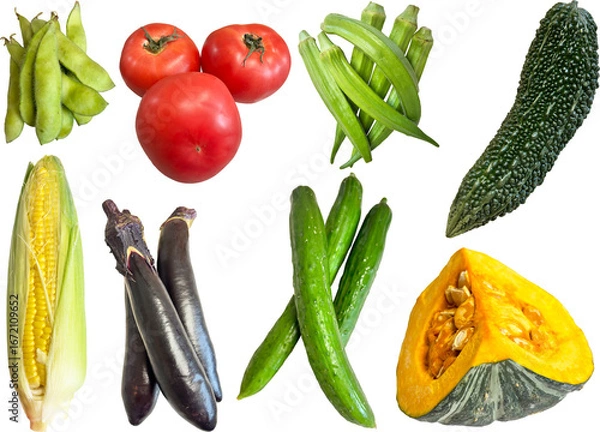 Fototapeta 切り抜き透過素材セットー夏野菜